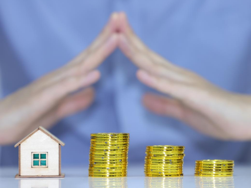 1769653843909701.jpg 1.jpg