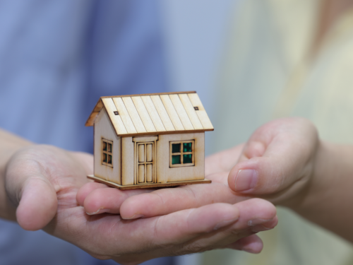 1774246501836520.jpg 1.jpg