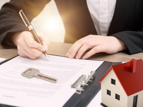 1774941166365600.jpg 1.jpg